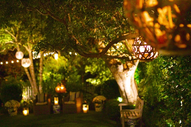 Solar lights can be used in a landscape design as a decorative element.